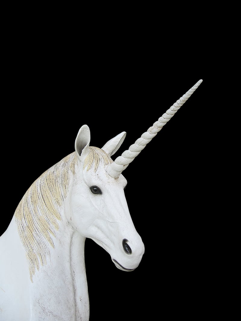 Unicorn Dreams Delight